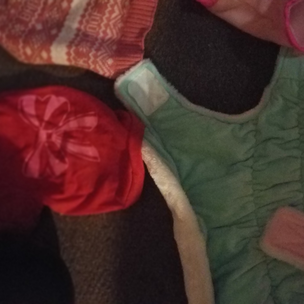 Dog clothes - Picture 3 of 8